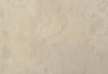 VEGA CREAM