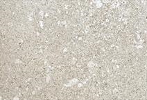 BIANCO AVORIO