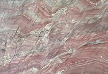 PINK REVOLUTION (PINK FUSION)